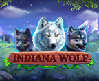 Indiana Wolf